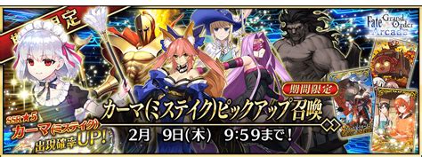 autentificare fgo|FGO .